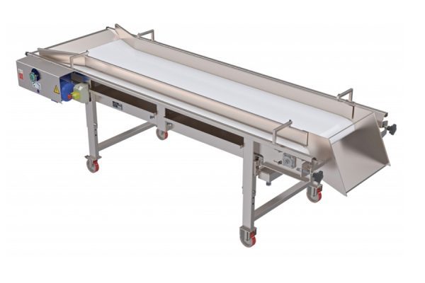 belt grape sorting table s800